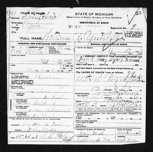 Michigan, U.S., Death Records, 1867-1952