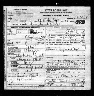 Michigan, U.S., Death Records, 1867-1952