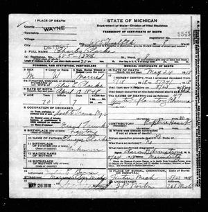 Michigan, U.S., Death Records, 1867-1952