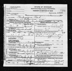 Michigan, U.S., Death Records, 1867-1952