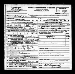 Michigan, U.S., Death Records, 1867-1952