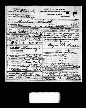 Michigan, U.S., Death Records, 1867-1952