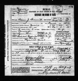 Michigan, U.S., Death Records, 1867-1952