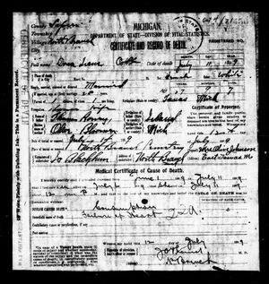 Michigan, U.S., Death Records, 1867-1952