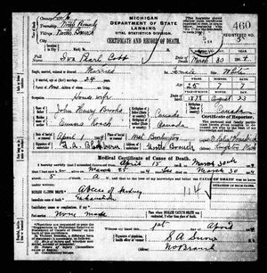 Michigan, U.S., Death Records, 1867-1952