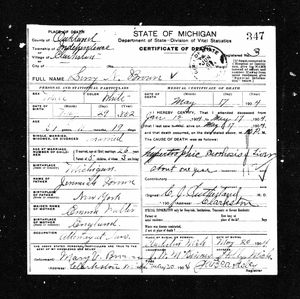 Michigan, U.S., Death Records, 1867-1952