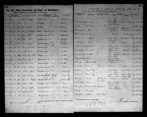 Michigan, U.S., Death Records, 1867-1952