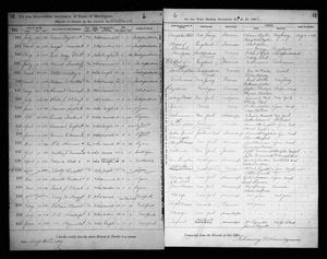 Michigan, U.S., Death Records, 1867-1952